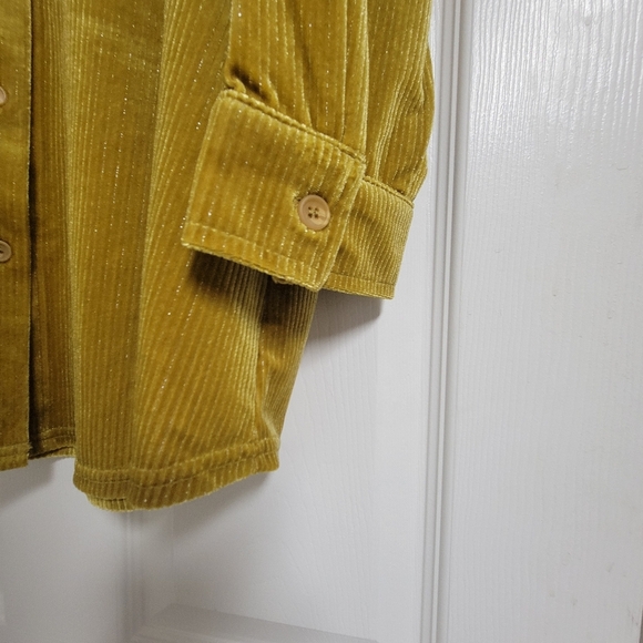 Soft Surroundings NWT Amber Textured Ribbed Velvet Boyfriend Tunic Shirt. - Picture 6 of 12